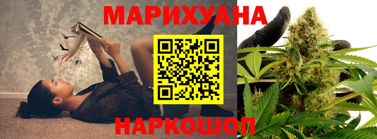 Сокол  Шишки марихуана OG Kush  Вход с VPN  Конопля сатива  Каннабис план 